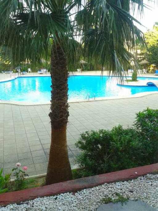 דירות פורט ד'אלקודיה Piso Moderno Con Piscina Siesta 2 מראה חיצוני תמונה